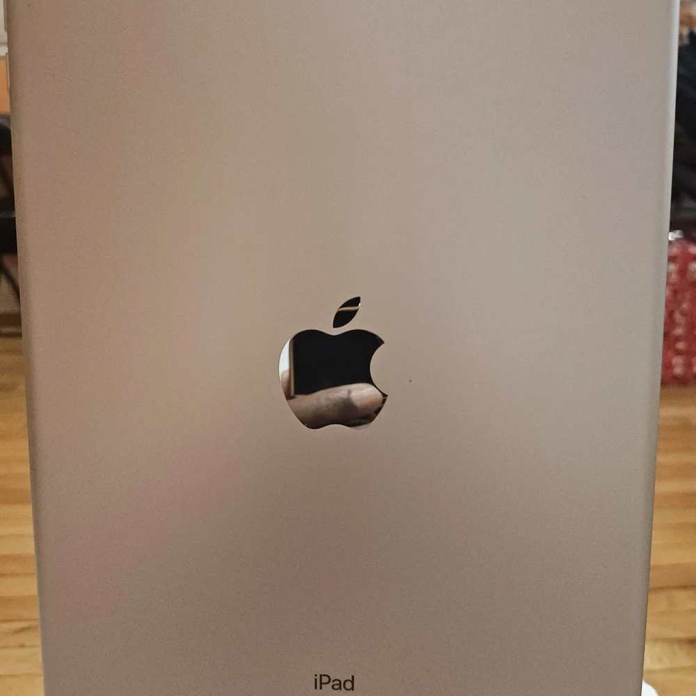 Apple iPad in Sleek Silver